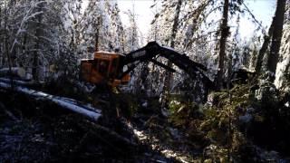 Woodland Equipment - TimberPro TL735 with Risley Rolly Rotosaw