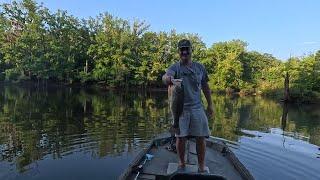 Bass Fishing With Cody, Alabama River