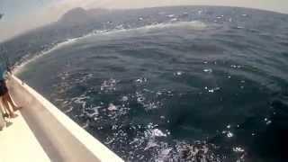 No Boundaries Oman GT