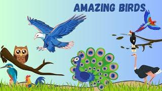 Bird Names | Birds in Their Natural Habitat  Kids Vocabulary | flying animals