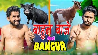 Bahun Baje And Bangur | The Pk Vines