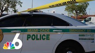 Man kidnapped 6-year-old who was playing soccer in front yard: Miami-Dade Police