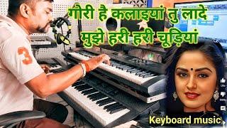 Gori Hai Kalaiyan | Instrumental Music | Shabbir Kumar | Lata Mangeshkar | Live Instrumental