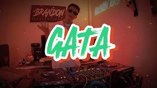 MIX GATA ONLY (DAYTONA, ANDO, FLAITES, BRATTIPUTI, CABAÑA, NO PARO DE PENSAR, MAULLAME) BRANDITO