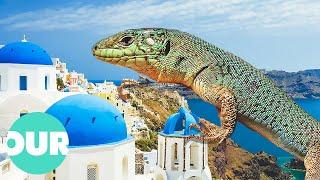 Garden of the Gods: Greece's Secret Wildlife | Our World