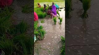 #geet #sohar #dehati #dance #folksong #bhajan #vivahgeet #video #song #bhojpuri