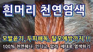 흰머리 천연 염색하기 - 헤나, 인디고, 암라분말 사용