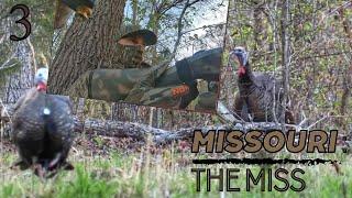 Missouri Turkey Hunt Part 1: He's Mine