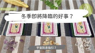 塔羅占卜冬季即將降臨的好事？新戀情/新生活/工作學業？艸艸Tarot | Pick a card.