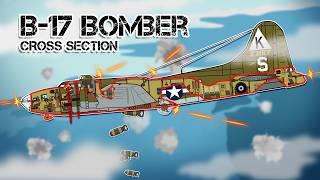 Life Inside The B-17 Flying Fortress (Cross Section)