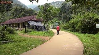 IN THE MIDST OF STUNNING DIVINE NATURE LIES LEGENDARY IRUPU   FALLS  4K