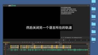 如何将双语SRT字幕导入Arctime的不同分组