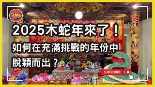 今天不走廟 EP05 【2025 乙巳木蛇年運勢】2025是關鍵的一年，五行中的木蛇年蘊含新機遇與隱患。生肖運勢、太歲沖犯、五行平衡，你該如何應對？為什麼今天不走廟 找不到EP04，因為是會員影片。