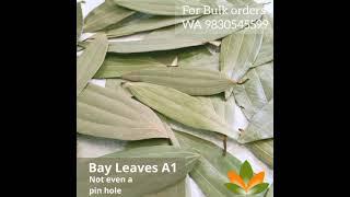 Clean Bay Leaf Grades A1, A2, B1, B2
