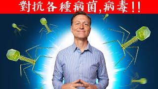 對抗各種病菌,病毒方法！增強免疫力!!,柏格醫生 Dr Berg