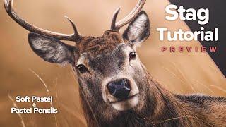 STAG Drawing Tutorial Preview | Soft Pastels & Pastel Pencils - Dynamic Background, Realistic Fur +