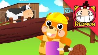 Builder beaver Song | Animal songs | Nursery Rhymes | REDMON