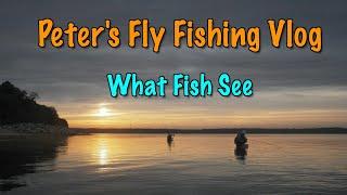 Peter's Fly Fishing Vlog: What Fish See