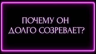 ПОЧЕМУ ОН ДОЛГО СОЗРЕВАЕТ?