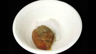 Peach Brown Rot Timelapse