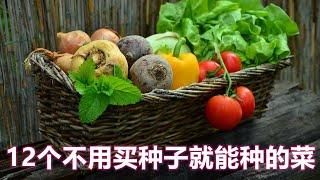 12个不用买种子就能种的菜，后院种菜心得总结经验分享