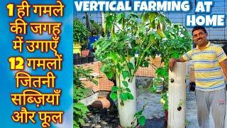 बिना गमले के छोटी बालकनी में ज्यादा से ज्यादा फूल-सब्जियां कैसे उगाएं |Grow Plants in small Balcony