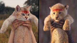 If Simba was a Cat (Widescreen Version)