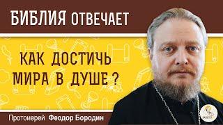 Как достичь мира в душе?  Библия отвечает. Протоиерей Феодор Бородин