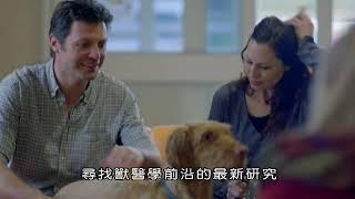 BBC 相信我，我是獸醫（一）