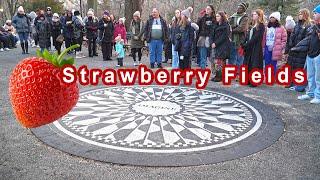 freezing winter walk in Central Park, New York