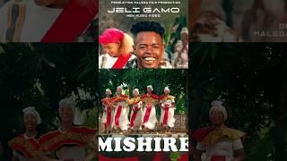 Ethiopian Music - Jeli Gamo - Mishire- New Ethiopian Music 2024 (Official Video)