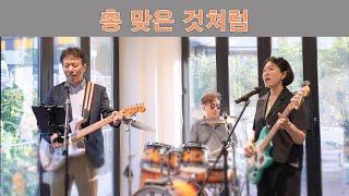 총 맞은 것처럼(백지영) /cover by 키다리밴드 tv