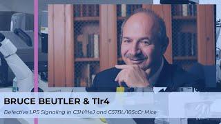 Bruce Beutler & Tlr4