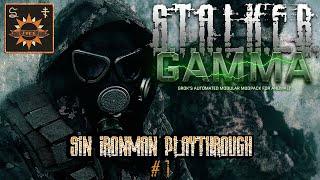 [300 Subs Special!] Sin Ironman Run Part 1 | Chaos in the Red Forest! | STALKER GAMMA INVERNO