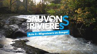 Sauvons nos rivières 2 - FILM - Les poissons migrateurs, un patrimoine à préserver