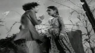 Oh Devadas Video Song | Devadasu Movie | Akkineni Nageswara Rao, Savitri | Shalimar Cinema