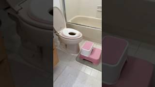 Potty Training Setups  #shorts #pottytraining #pottytrain #potty #bathroomaccessories