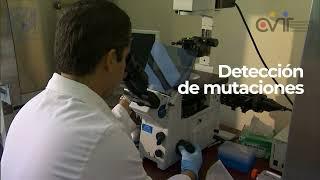 Unidad Multidisciplinar: Laboratorio de Biología Molecular | Vinculación UNAM