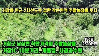 [거창군 남상면] 주말농장용 토지.2차선도로를 접하고 작은 개울과 산을 접한 현황좋은 사과 과수원.거창군 토지매매.거창군 전원주택지매매.거창부동산.대구부동산.합천부동산.진주부동산.