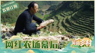 山沟沟里的生态蔬菜，网红农场幕后奋斗史 | 四川旅游攻略Sichuan Travel【美丽乡村】