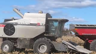 Gleaner S67 - Massey Ferguson ? - Unverferth 1050 Corn Harvest 2024 #harvestchaser