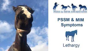 PSSM & MIM Symptoms- Lethargy