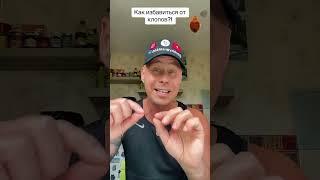 Как избавиться от клопов?! #лайфхаки #советы #обучение #рецепты #уборка #рек #bobbygrant690