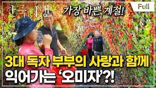 [Full] 한국기행 - 추(秋)향저격 5부 오미자 익어가는 가을