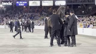 Tennessee Walking Horse Celebration World Grand Championship 2023