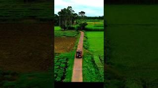 Charming Village Roads #dronefootage #naturelovers #villagelife #youtubeshorts #viralshorts #nature