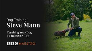 Steve Mann - Teach Your Dog To Release A Toy - Dog Training – BBC Maestro