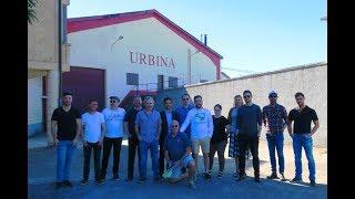 Spanish Acquisition Wine Distributor (Visiting Bodegas Urbina)