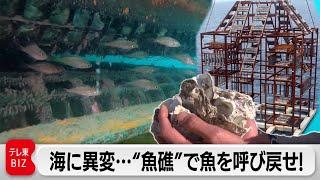 水産業の危機…特許取得の“人工魚礁”で消えた魚を呼び戻せるか！？【ガイアの夜明け】（2023年8月18日）