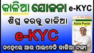 Kalia Yojana e-KYC !! Kalia e-KYC Complete Process Online !! Kalia Yojana odisha